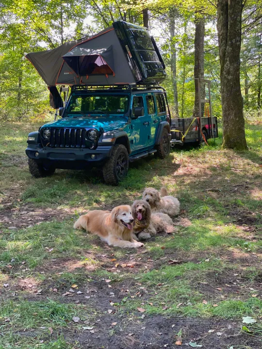A teal Jeep, Roofnest rooftop tent, & three dogs. Perfect for an adventure, offering an experience similar to an rv rental.. Other Other 2020