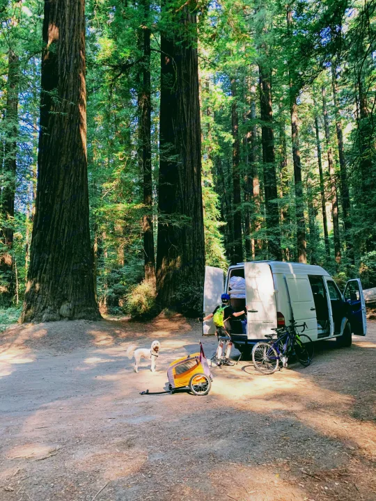RV rental van and family, including a dog, bike trailer, and bikes, parked in a sunlit redwood forest.. Mercedes Sprinter 2006