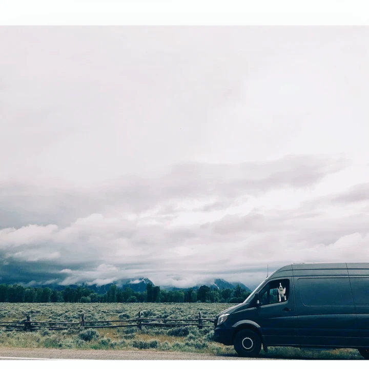 RV rental adventures begin! A dog looks out a dark van parked near mountains & a field under cloudy skies.. Mercedes-Benz Sprinter 2016