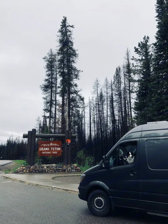 An RV rental van, with a cute dog looking out, paused at the Grand Teton National Park entrance sign.. Mercedes-Benz Sprinter 2016