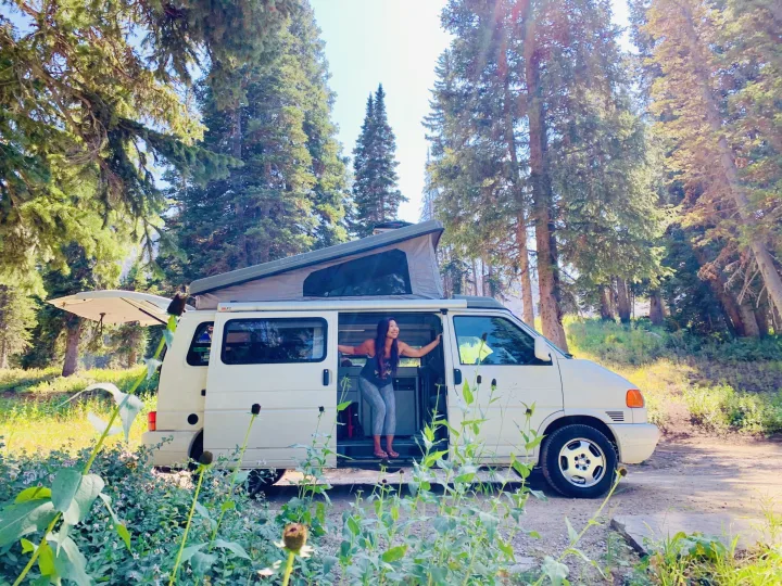 Volkswagen Eurovan 2001