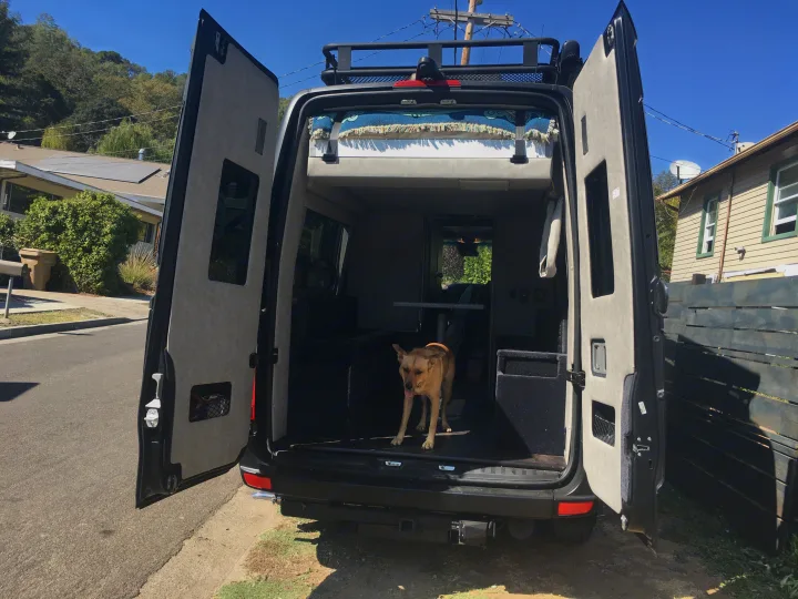 A tan dog stands in the open back of a camper van, showcasing its cozy RV rental interior with a bed and table.. Mercedes-Benz Sprinter 2018