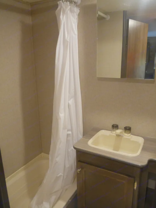Inside an RV rental bathroom, featuring a compact shower with a white curtain and a small vanity with a sink.. Coleman Other 2018