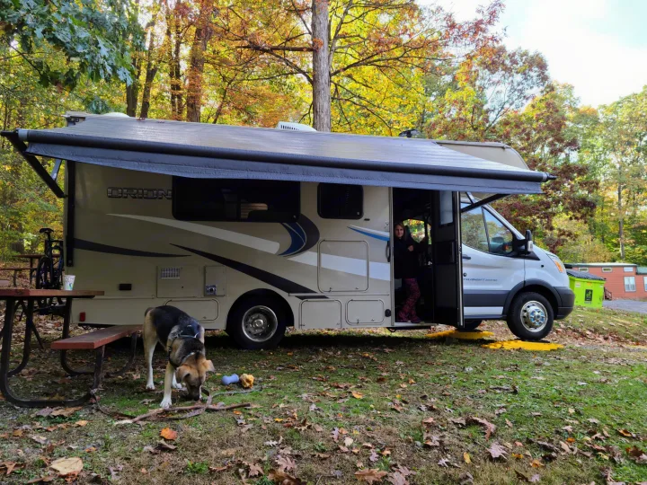 An rv rental at an autumn campsite with its awning extended. A person is in the doorway and a dog sniffs by a picnic table.. Coachmen Other 2018