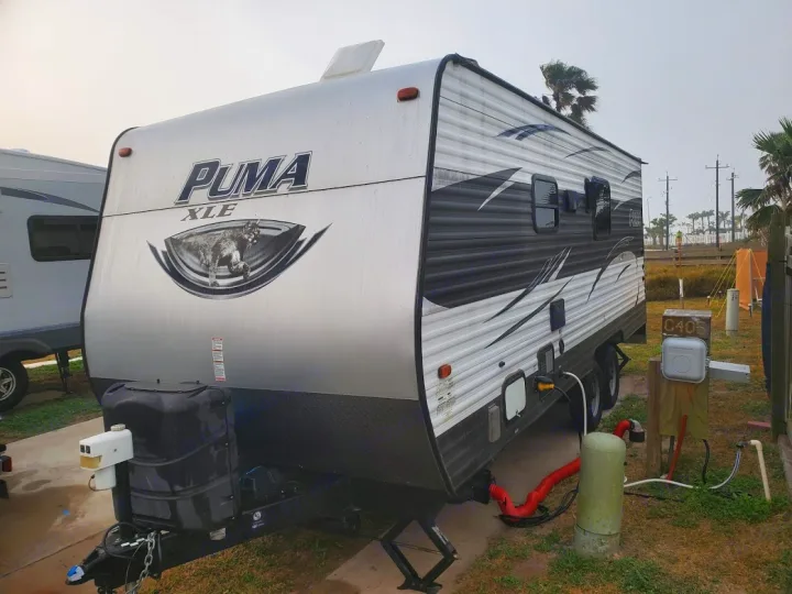 Palomino Puma 2017