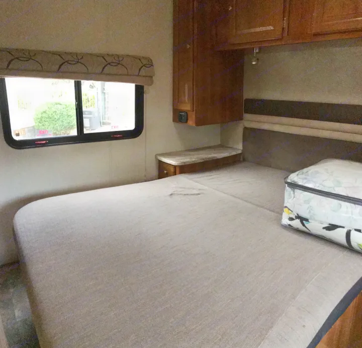 Coachmen Leprechaun 2019