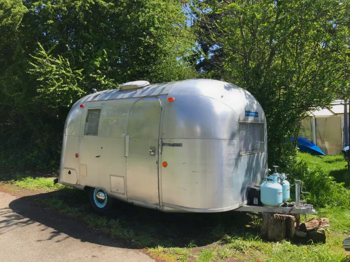 This gleaming vintage Airstream travel trailer, perfect for an RV rental, sits parked amidst lush greenery on a sunny day.. Airstream Caravel 1968