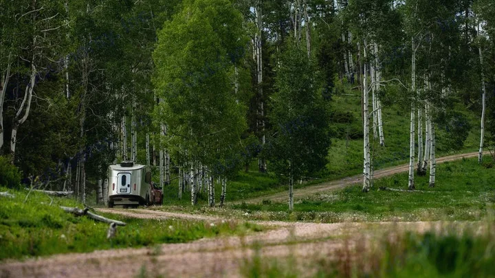 An RV rental parked on a forest dirt road, surrounded by tall trees & green grass, ready for outdoor adventures.. Airstream Basecamp 2023