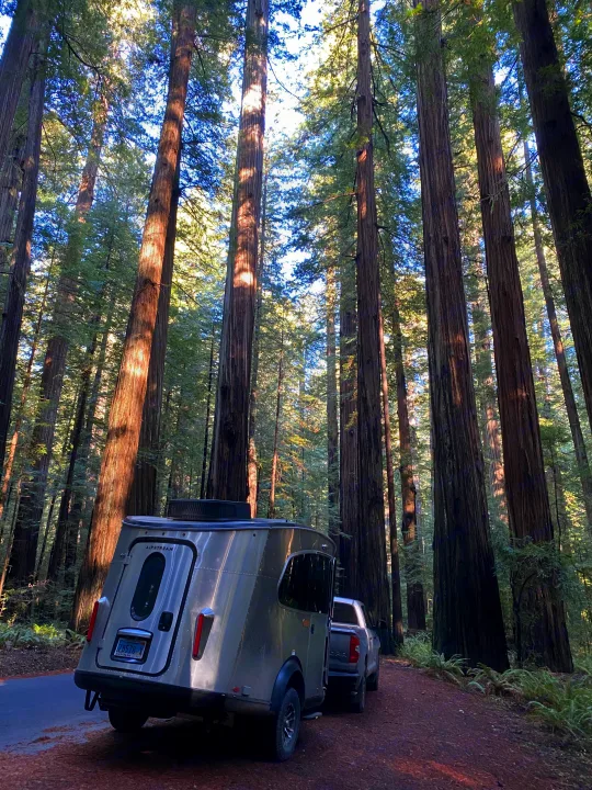 An Airstream RV rental and truck parked amidst towering California redwoods, sunlight dappling the forest.. Airstream Basecamp 2023