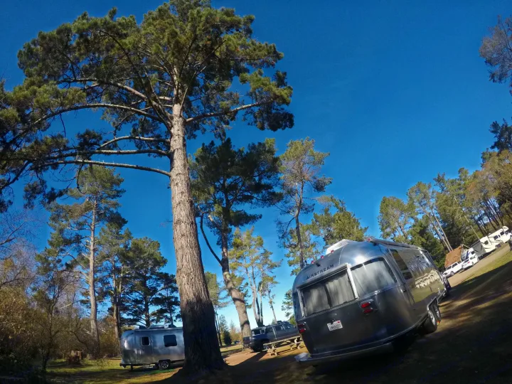 Experience nature with an RV rental! Airstream trailers gleam under blue sky in a spacious, tree-filled campground.. Airstream Flying Cloud 2019