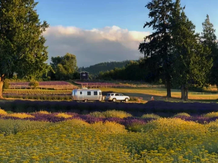 Airstream Bambi 2020