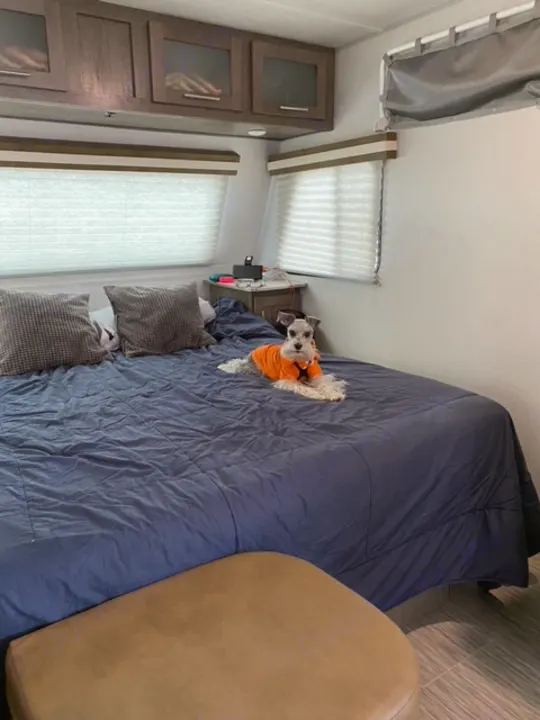 Many of our renters love dogs, like we do. Here is one that rented it :). Forest River Other 2019
