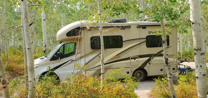 Thor Motor Coach Citation 2020