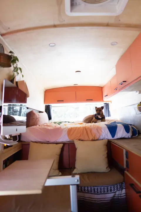 A dog rests on a colorful bed inside a custom RV rental, featuring wooden walls, orange cabinets, and a computer setup.. Ford Transit 2015