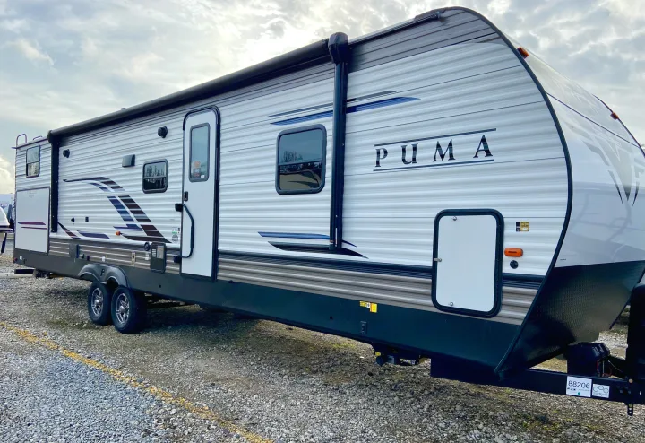 Palomino Puma 2021