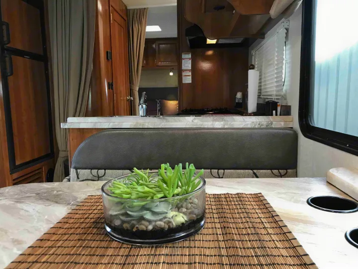 Experience an RV rental: inviting dining area with succulent terrarium & full kitchen. Your comfortable home on wheels.. Ford Coachman 2019