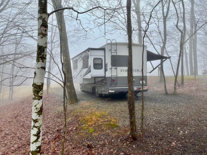 A white & grey RV rental is parked on a gravel and leaf-covered campsite in a misty, bare forest, perfect for a quiet escape.. Forest River Forester 2018