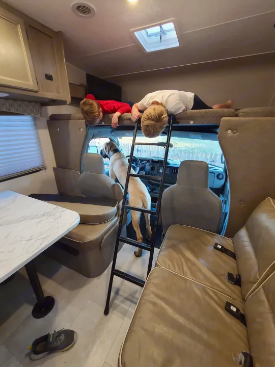 Inside an RV rental, two boys are on the overhead bunk while a large dog gazes out the front window.. Coachmen Freelander 2021
