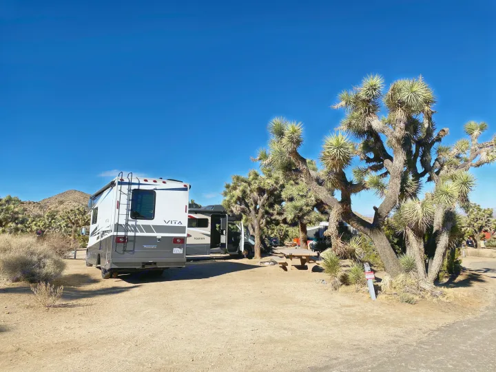 Two RVs, potentially rv rentals, set up at a bright desert campsite with iconic Joshua trees under a clear sky.. Winnebago Porto 2020
