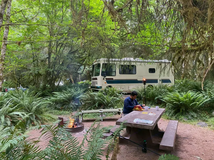 Camping in an RV rental, a man enjoys Catan by a campfire amidst lush ferns in a dense forest.. Safari Trek 2610 1994