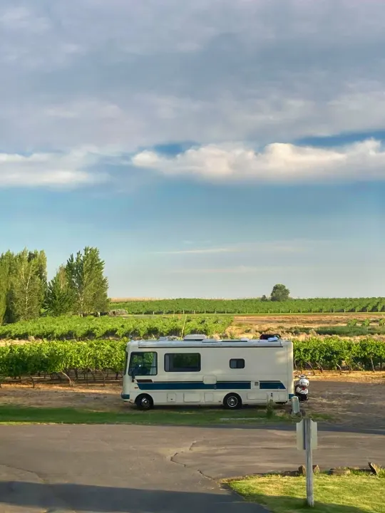 RV rental parked at a vineyard, surrounded by green grapevines under a partly cloudy sky. Ideal for a scenic getaway.. Safari Trek 2610 1994