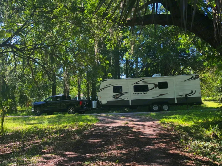 Palomino Canyon Cat 2014