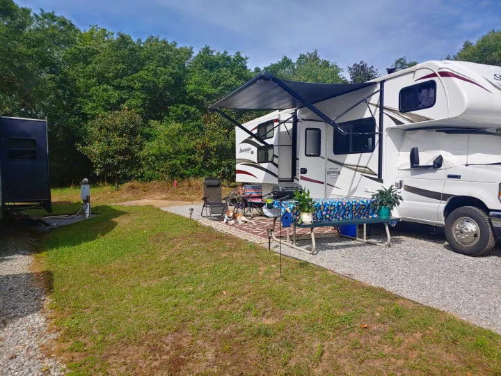 Forest River Sunseeker 2017