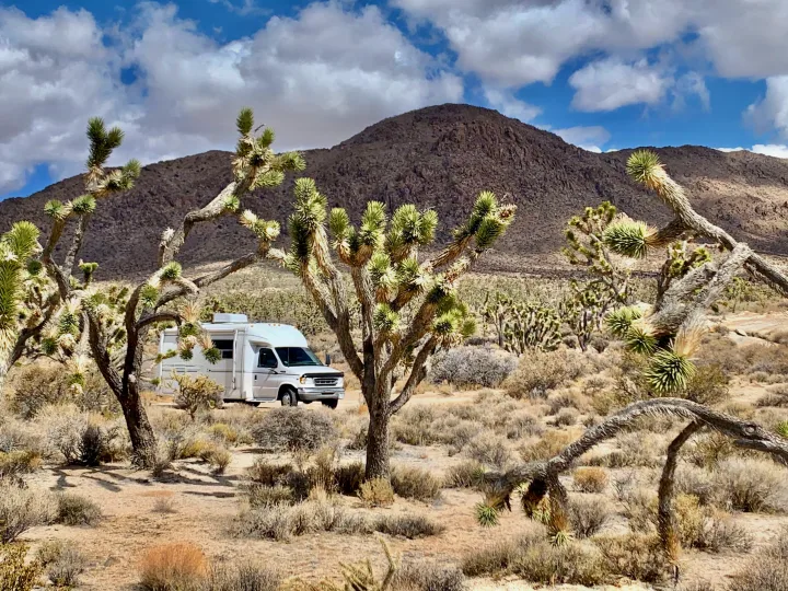 Joshua Tree National park! No neighbors, no problems! . Other Other 2001