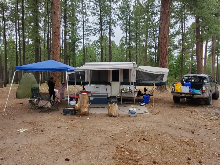 Coleman Destiny Sedona 2001