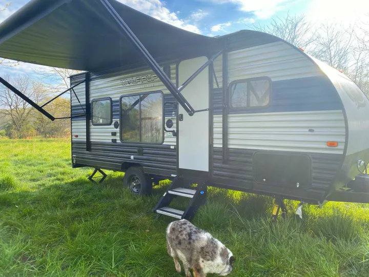 "Wolf Pup Limited" RV rental parked in a grassy field with an extended awning, steps, and a dog.. Forest River Wolf Pup 2021