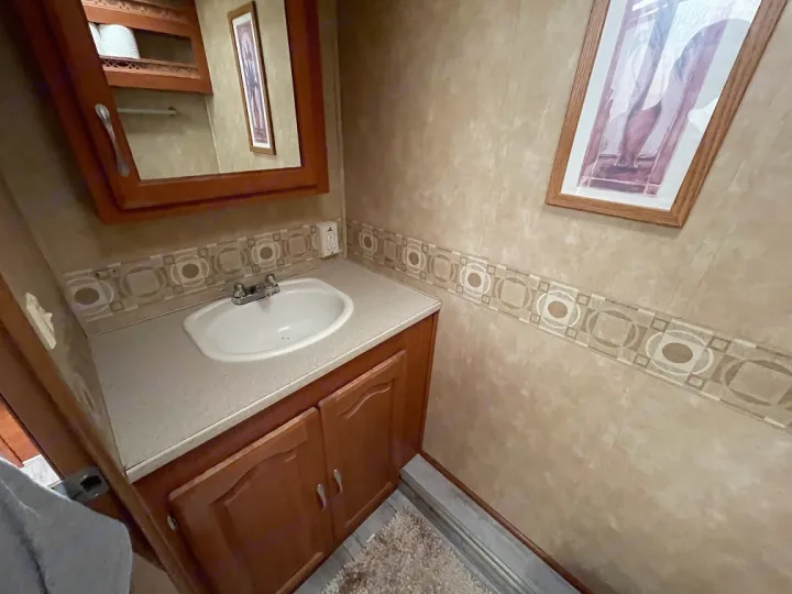 This RV rental bathroom features a compact vanity with a white sink, wooden cabinet, and mirrored medicine cabinet. Beige walls have a decorative border.. Forest River Georgetown 2007