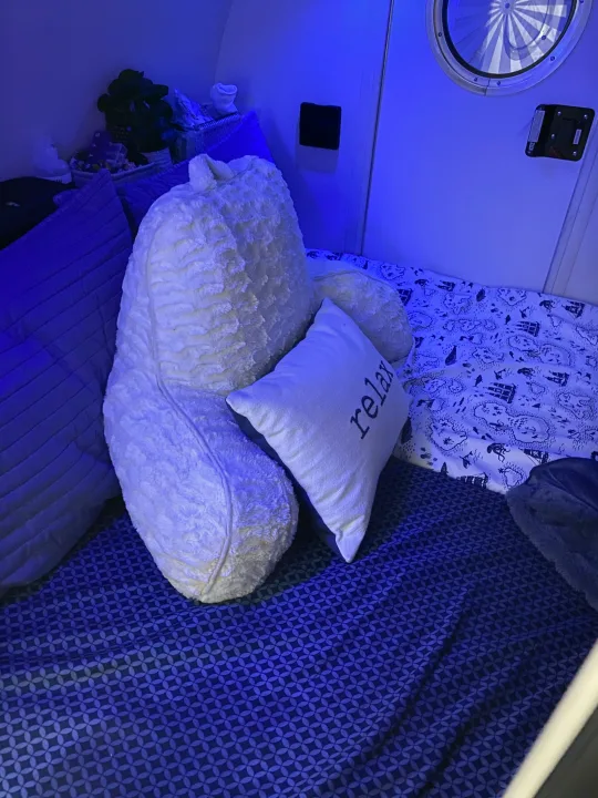 Cozy blue-lit bed setup in an RV rental, perfect for relaxing after travel. Features plush pillows and themed bedding.. Little Guy NuCamp 2015