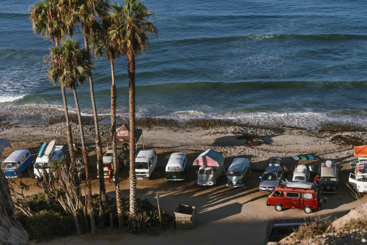 Vintage camper vans parked under palm trees on a sunny beach by the ocean. Perfect for an RV rental adventure!. Volkswagen Westfalia 1987