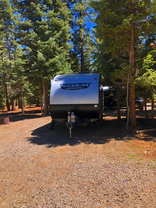 RV rental: A Salem Cruise Lite travel trailer is parked on a gravel campsite amidst tall pine trees.. Forest River Salem Cruise Lite 2021