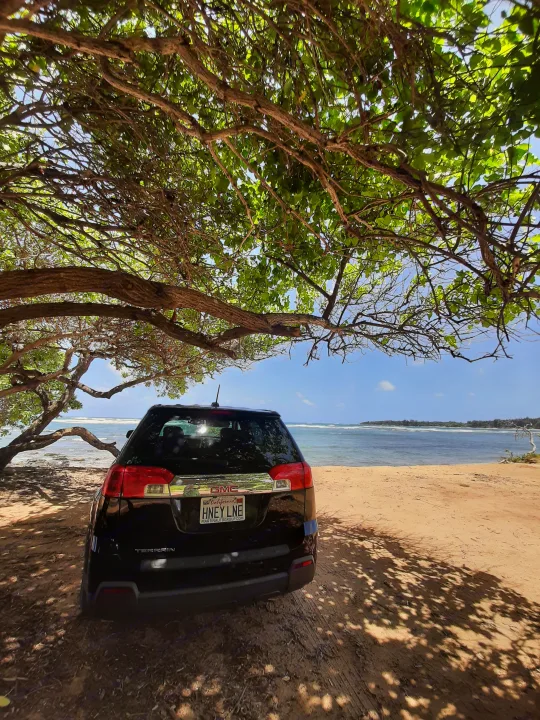 A black GMC Terrain SUV by the ocean, under a shady tree on a sandy path. Perfect for beach trips, like an RV rental adventure!. Gmc Terrain 2015