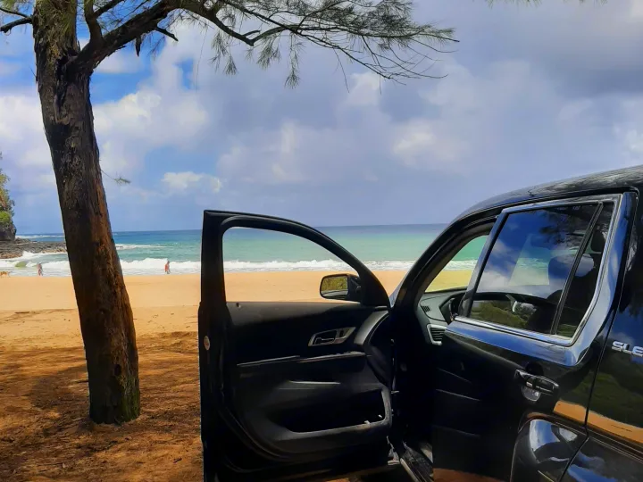 Black SUV, door open, on a scenic beach under a tree. Ocean waves beyond. Perfect trip, no RV rental needed.. Gmc Terrain 2015