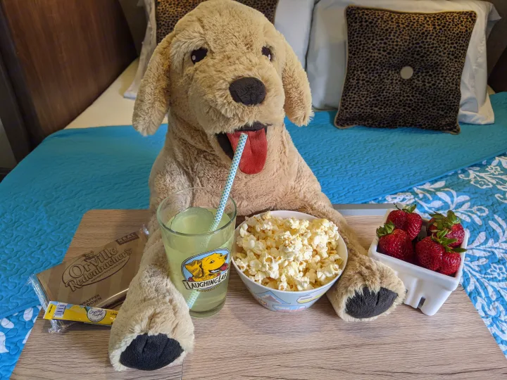 Relaxing in an RV rental with a plush dog, popcorn, lemonade, and strawberries. A perfect cozy movie night setup.. Other Other 2017