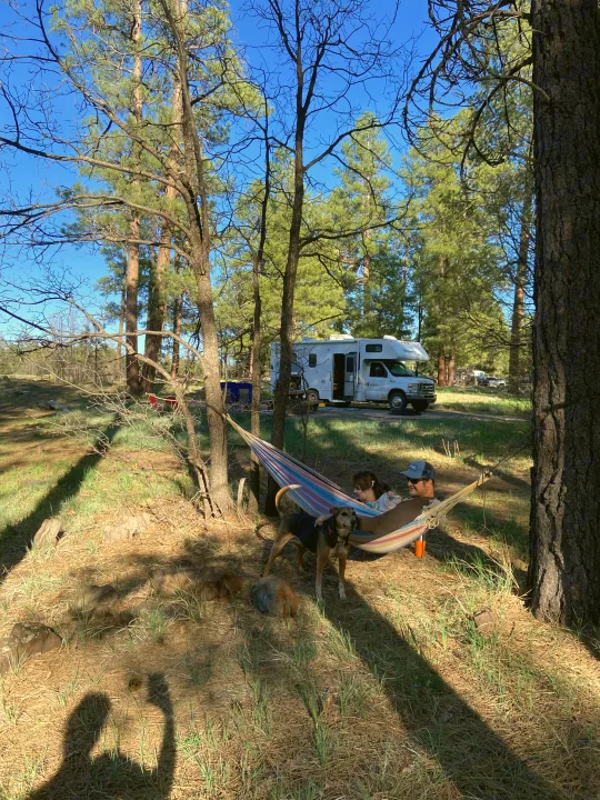 A white RV rental parked in a sunny pine forest campsite, where a family relaxes in a hammock with their dogs.. Thor Motor Coach Four Winds Majestic 2009