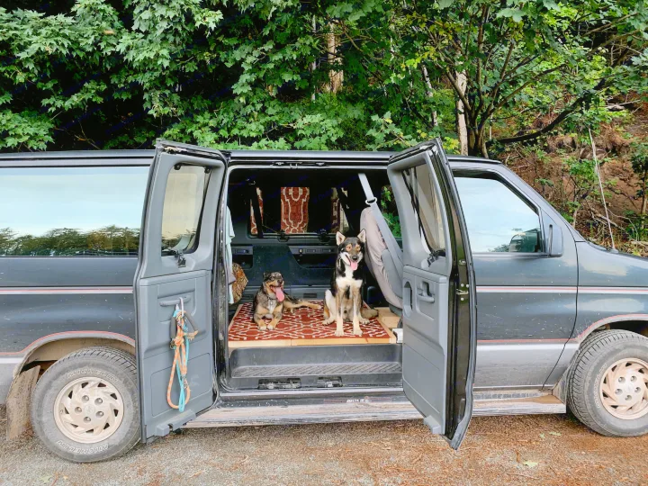 Ample room for furry friends.. Ford Econoline Club Wagon 1993