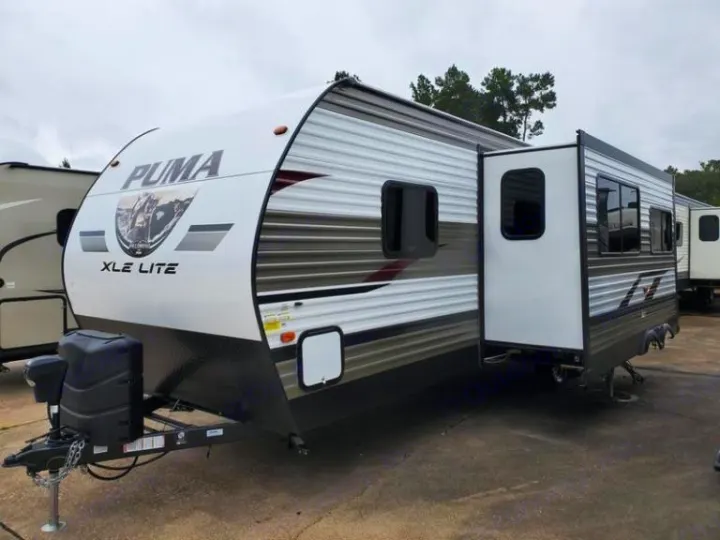Palomino Other 2019