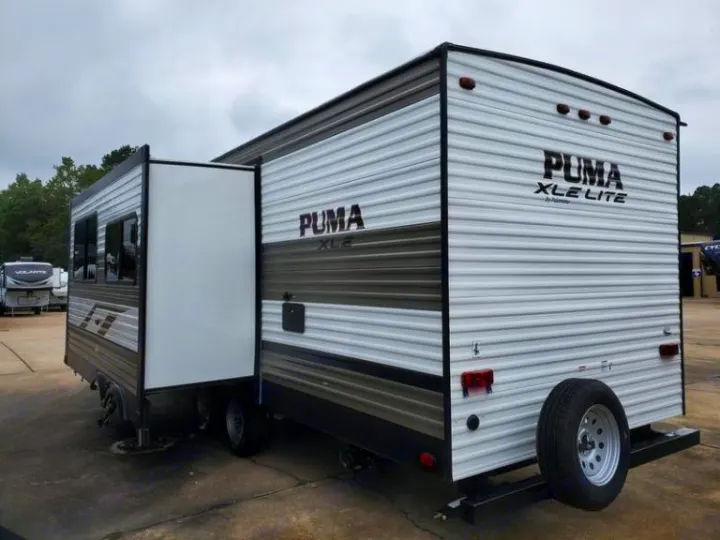 Palomino Other 2019