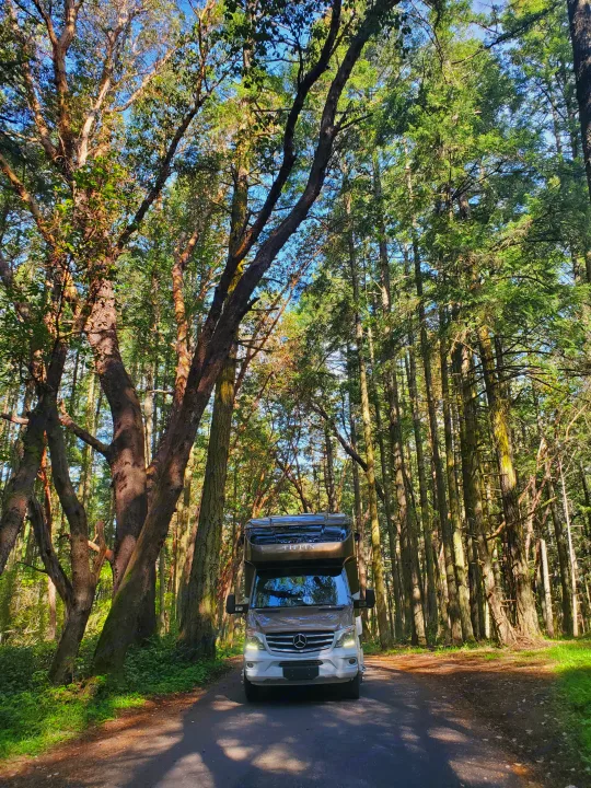 A Tiffin rv rental is parked on a sunlit forest road, surrounded by towering trees and lush greenery.. Wayfarer Wayfarer Motorhome 2017