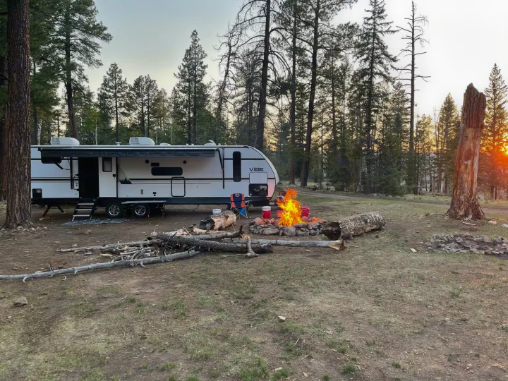 Forest River Vibe 2021