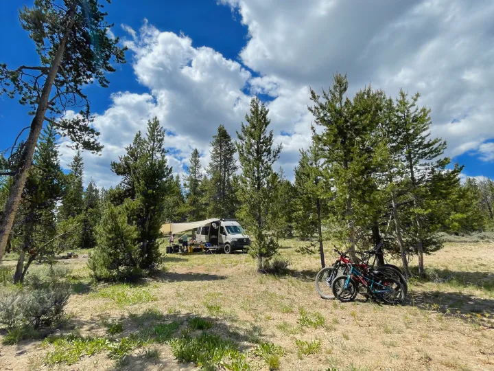 Enjoying the outdoors in an RV rental! A white camper van with an awning is set up in a pine forest, bikes nearby.. Mercedes-Benz Sprinter 2020