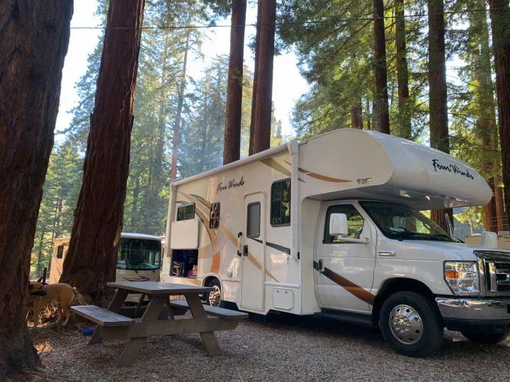 A white Thor Four Winds rv rental parked in a towering forest, with a picnic table & dog nearby.. Thor Four Winds 2019
