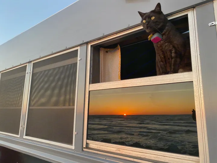 Black cat with tracker enjoys a stunning sunset over the ocean from an RV rental window.. Ford E450 2005