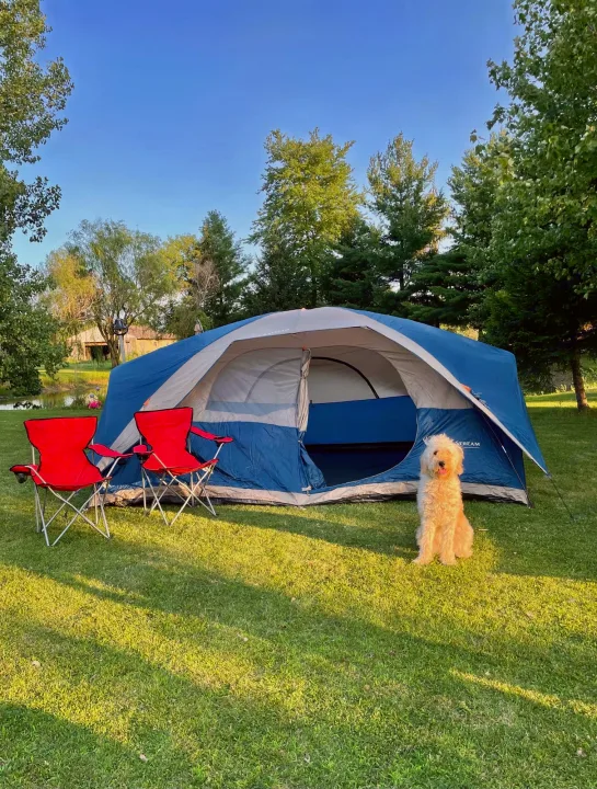 A cheerful dog sits by a blue tent & red chairs on lush grass near a pond, hinting at a serene RV rental getaway.. Keystone Springdale 2021