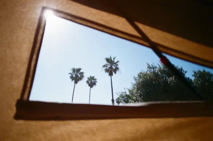 View from an RV rental window: sunny blue sky, palm trees, and lush greenery.. Volkswagen Westfalia 1986