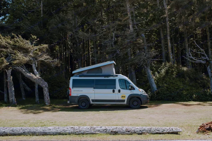 RV rental camper van with pop-top roof parked in a grassy area amidst unique, gnarled trees, hinting at outdoor adventures.. Ram Pleasure Way 2019