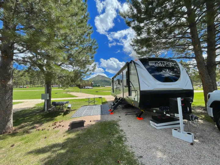 Other Cruiser 2019